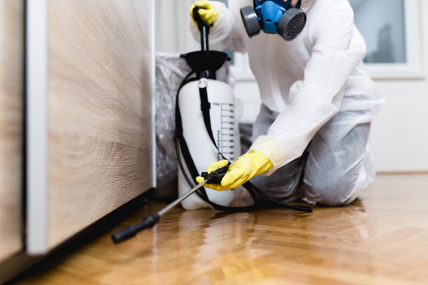 Best Affordable Pest Control Services  in Riverdale, UT