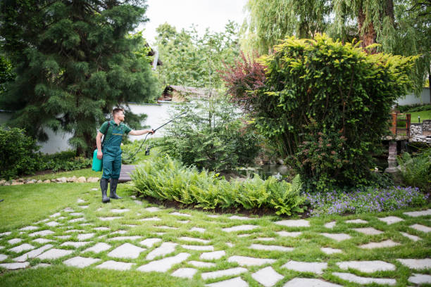 Best Best Pest Control Companies  in Riverdale, UT