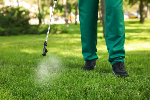 Pest Prevention Services in Riverdale, UT