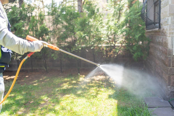 Best Flea Control Services  in Riverdale, UT