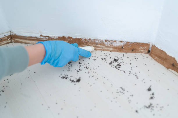 Best Pest Inspection Near Me  in Riverdale, UT