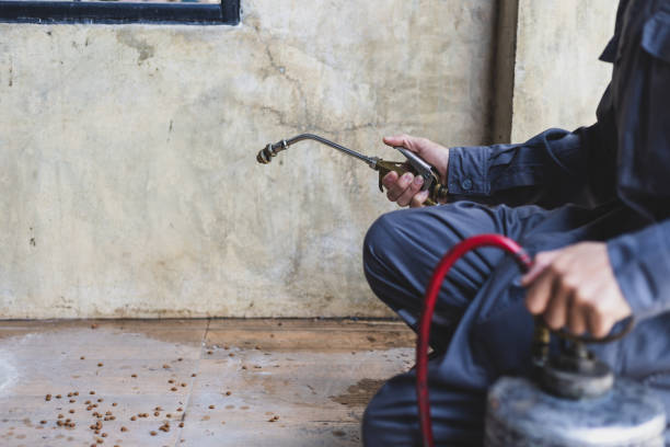 Best Pest Inspection Near Me  in Riverdale, UT