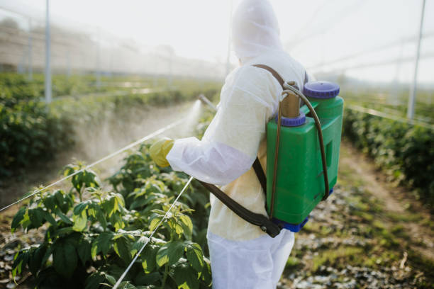 Best Local Pest Control Services  in Riverdale, UT